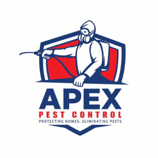 cropped-Logo-TBG-500-X500.png
